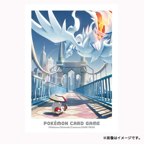 Reshiram & Amoongus Unova Adventure Sleeves