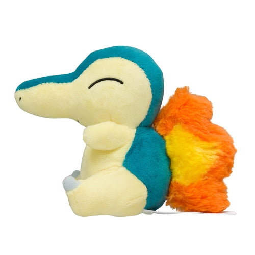 Cyndaquil 155 Plush Pokemon Fit